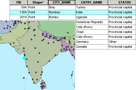 Map with Bombay selected and its selected record in the table