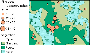 Map showing diameter of pine trees and vegetation types