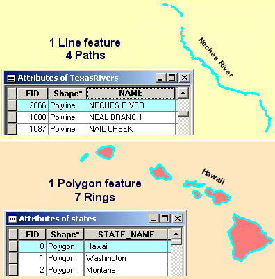 Multipart line and polygon features and their table records