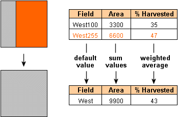 Table showing attributes of merged polygon feature